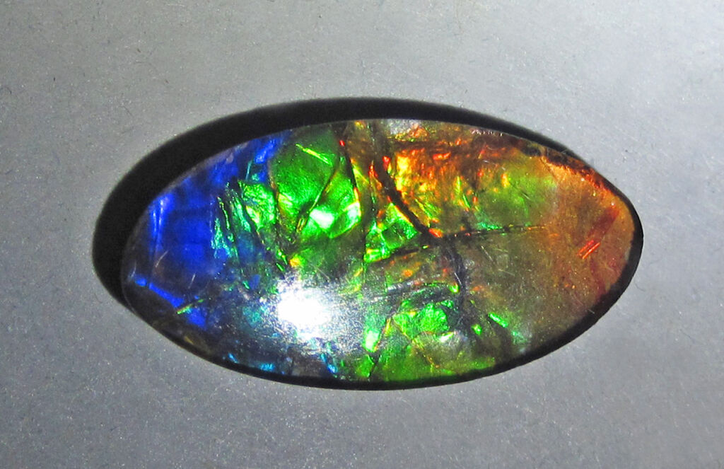 L'ammolite, lo strato madreperlaceo diventato iridescente di alcune ammoniti fossili del Canada.