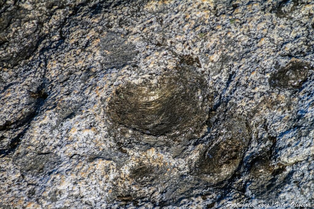 Le Pedras Parideiras di Arouca, in Portogallo: noduli rivestiti di biotite che col tempo si staccano dal granito.