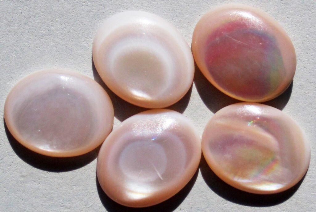 Cabochon di madreperla: lo strato iridescente delle conchiglie è fatto di piastrine di aragonite.